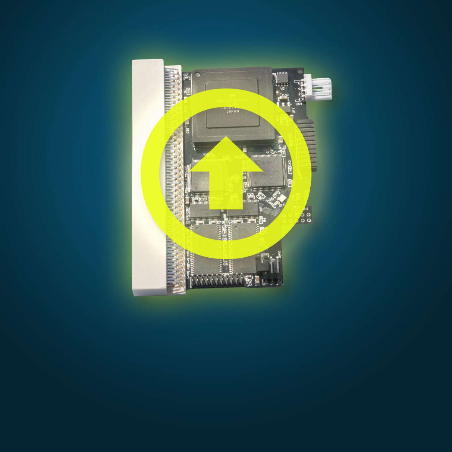 sample picture. Actual product is a download!