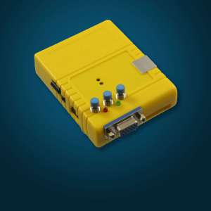 Chameleon viewed from backside